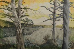 Daybreak in a Scottish Glen