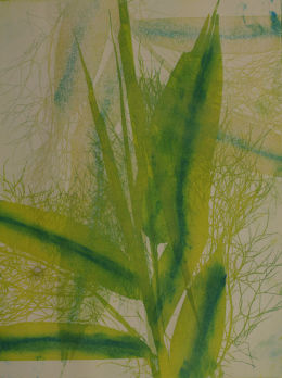 Yellow and Green Bamboo