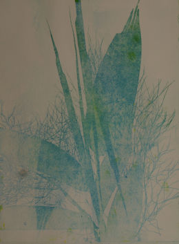 e.  Light Blue Bamboo 21.5 cm by 29 cm Cropped