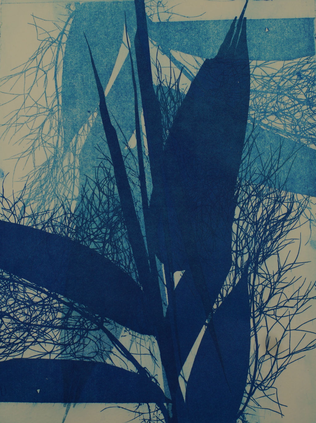 f.  Blue Bamboo 21.5 cm by 29 cm Cropped