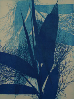 Plants, Trees and Animals