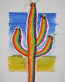Rainbow Cactus.