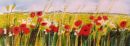 Poppyfield II