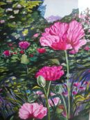 Poppies