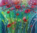 Field Poppies