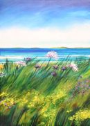 'Skerries, Wild Carrot & Ragwort, Portrush'