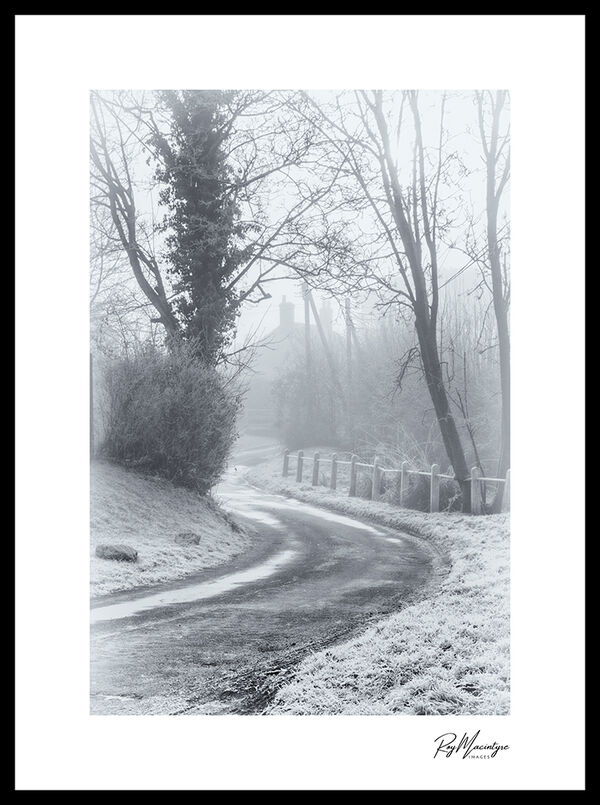 A Lane in Winter