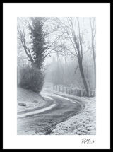 A Lane in Winter
