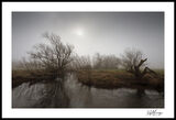 Early Mist on The Eden