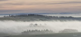 East Neuk Fog