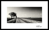 The Fens