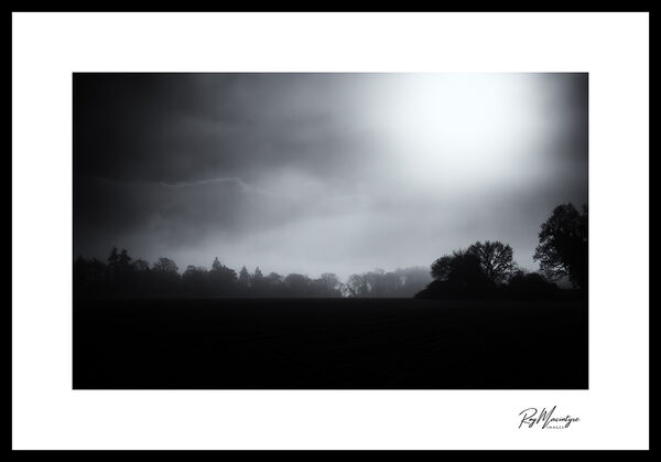 Mist over the Countryside