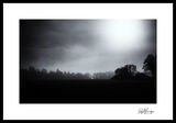 Mist over the Countryside