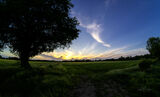 Merton Dusk