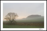 Mist on Foodie Hill