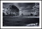 Tentsmuir