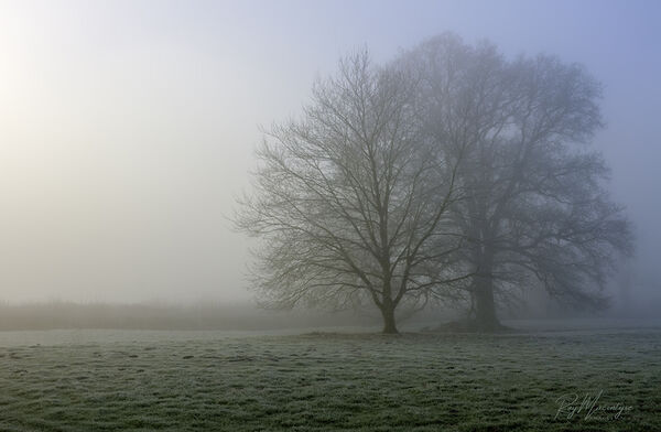Rural Softness in Winter