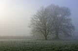 Rural Softness in Winter