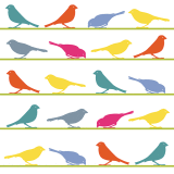 A HOST OF SPARROWS RM066