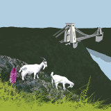 GOATS IN THE GULLY, BRISTOL RM70