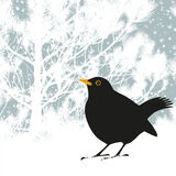 BLACKBIRD AND PINE RM082