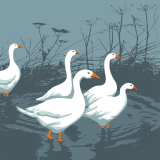 Geese RM001