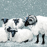 GOOD TIDINGS WE BRING, TO EWE AND YOUR KIN RM084