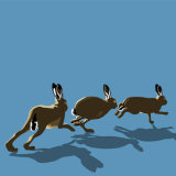 HARES RM059