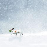 LAST THROW IN THE SNOW RM029