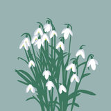 SNOWDROPS RM88