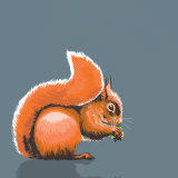 SQUIRREL RM022