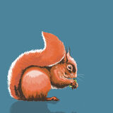 RED SQUIRREL RM022