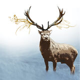 STAG RM085