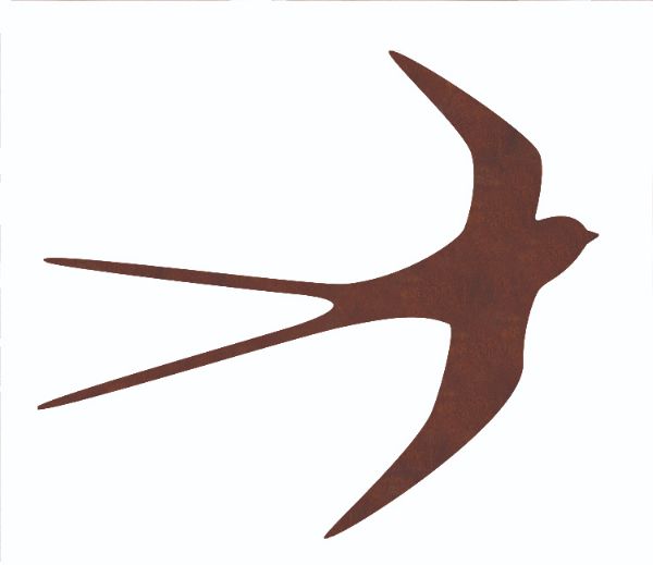 Swallow