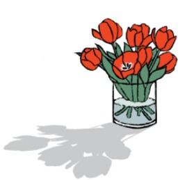 TULIPS RM040