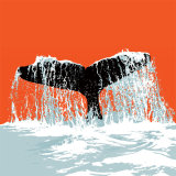 A WHALE OF A TIME RM019