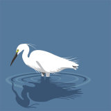 LITTLE EGRET RM03