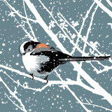 LONG -TAILED TIT IN THE SNOW RM63