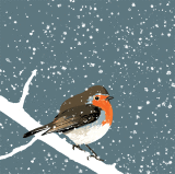 ROBIN IN THE SNOW RM64