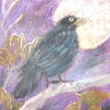 Blackbird (The Beatles) £30