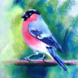 Bullfinch
