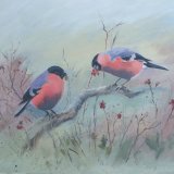Bullfinches and Berries (Sold)
