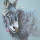 Donkey (Sold)
