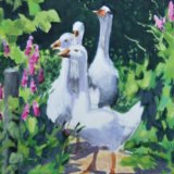 Geese (sold)