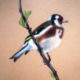 Goldfinch (Sold)