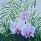 Orchids (on deep edge canvas) (Sold)
