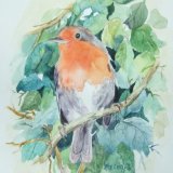Robin Watercolour (sold)