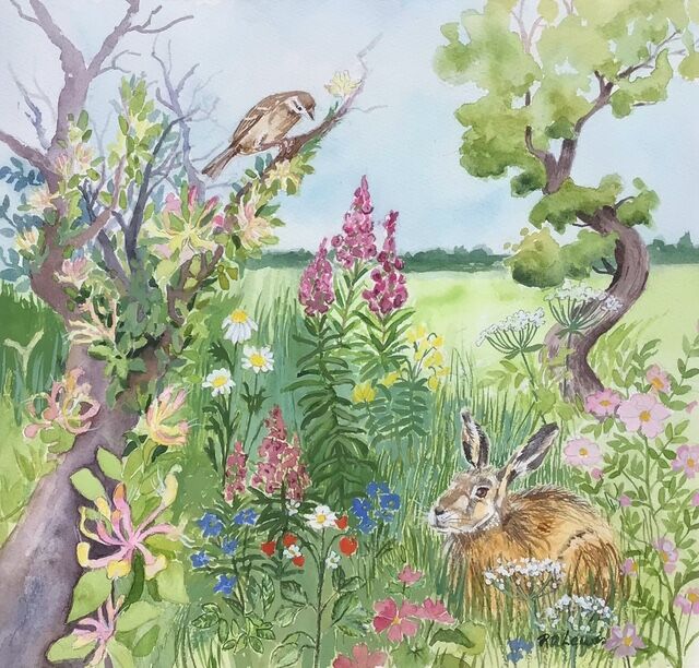 Summer Wildlife Corner Watercolour & Gouache