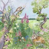Summer Wildlife Corner Watercolour & Gouache