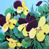 pansies